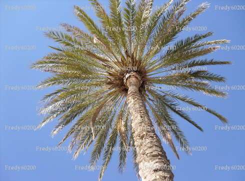 Fredy60200 - Homme bi candaulisme - Fréjus