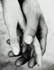 faval Couple 41 et 50 ans Anvin