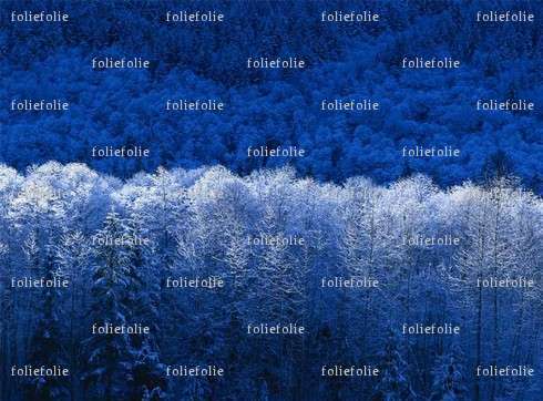 foliefolie - Couple candaulisme - Paris