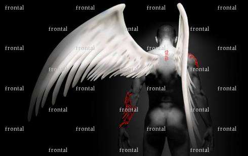 frontal - Homme coquin - Royan