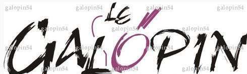 galopin54 - Homme coquin - Toul