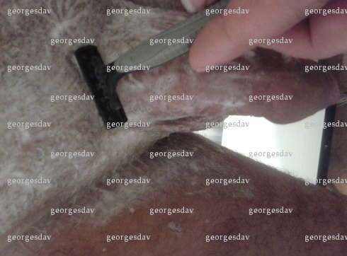 georgesdav - Homme coquin - Dunkerque