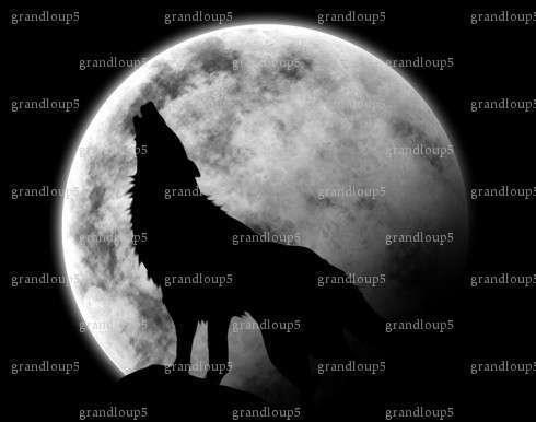 grandloup5 - Homme candaulisme - Nancy