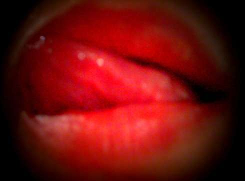 Harmonie74 - Couple BDSM - Thonon-les-Bains