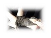 harmonie72 Couple Femme bi 32 et 34 ans entre le mans tours