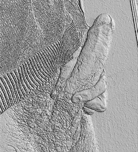 jhbi67 - Homme bi échangiste - Strasbourg