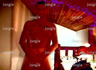 jungle - Homme bi échangiste - Souraïde