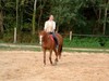 jp-s Couple Femme bi 53 et 55 ans Paris