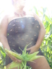 k-line62 Femme bi 38 ans Arras