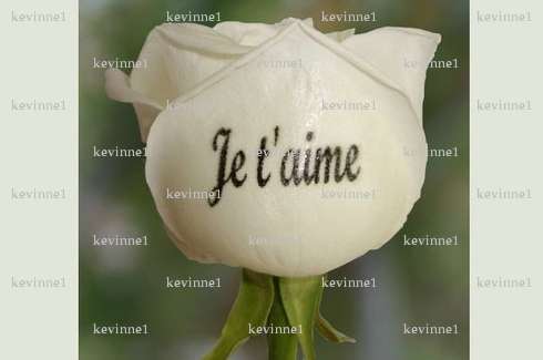 kevinne1 - Femme coquine - La Rochelle