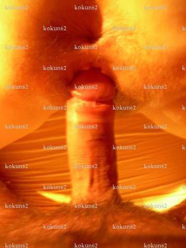 kokun62 - Homme candaulisme - Samer