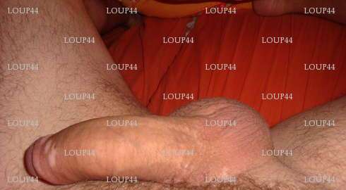 LOUP44 - Homme BDSM - Saint-Herblain