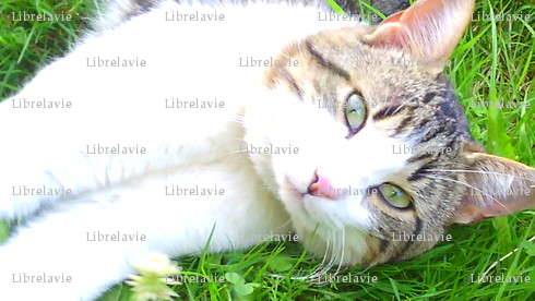Librelavie - Femme échangiste - Epinal