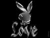 lerigaou Couple 39 et 38 ans La Ciotat
