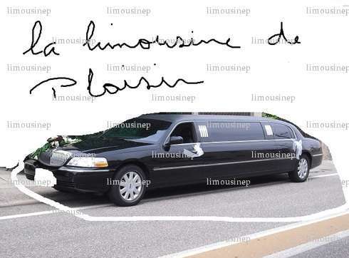 limousinep - Homme échangiste - Nancy