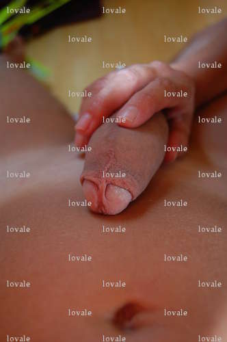 lovale - Couple bi BDSM - La Londe-les-Maures