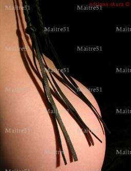 Maitre51 - Homme BDSM - Reims