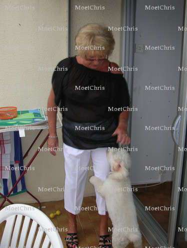 MoetChris - Couple échangiste - Choisy-le-Roi