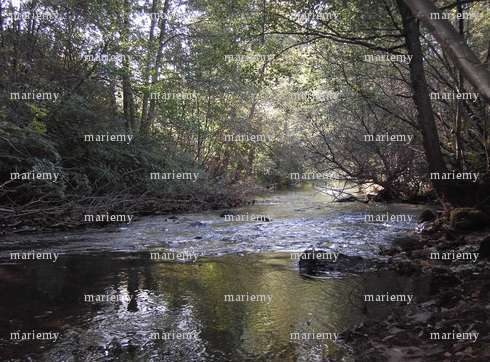 mariemy - Couple mélangiste - Granges-sur-Vologne