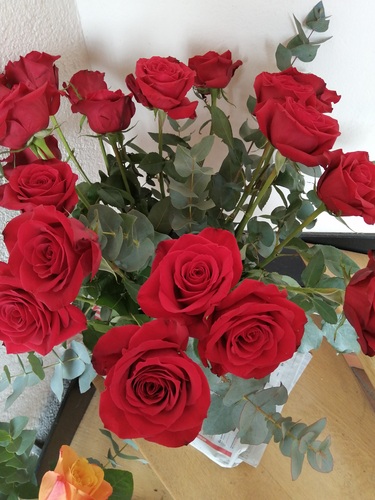 masseur31 - Homme bi coquin - Toulouse