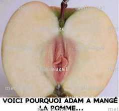 metissage1 - Couple coquin - Marseille
