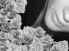 miange79 Couple 42 et 44 ans Niort