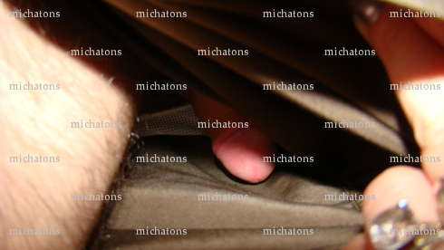 michatons - Homme libertin - Tours