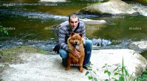 mozkis - Homme coquin - Lamballe