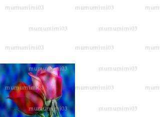 mumumimi03 - Couple échangiste - Trévol