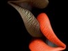 nina26110 Femme libertine 42 ans Nyons