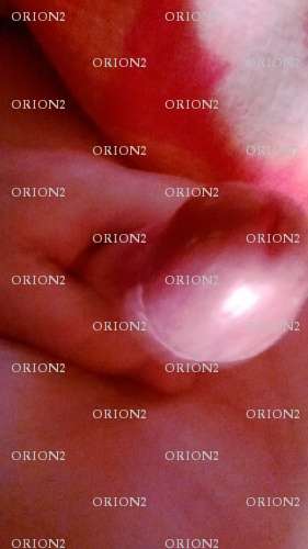 ORION2 - Homme coquin - La Baule-Escoublac