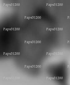 Paps31200 - Homme coquin - Toulouse