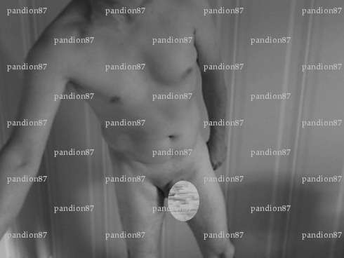 pandion87 - Homme bi BDSM - Antibes