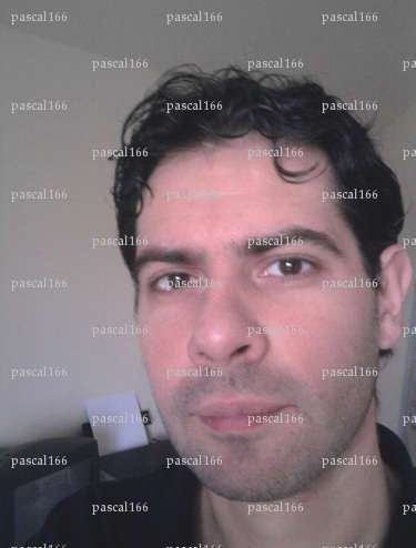 pascal166 - Homme coquin - Le Thoureil