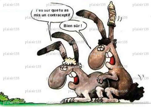 plaisir135 - Homme bi candaulisme - Marignane