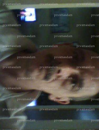 prvsmesdam - Homme coquin - Epinay-sur-Seine