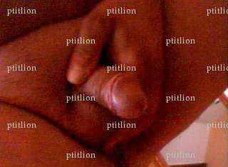 ptitlion - Homme coquin - Brétigny-sur-Orge