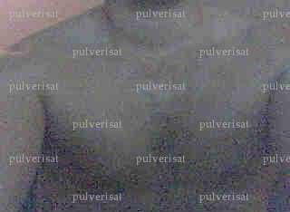 pulverisat - Homme coquin - Antibes