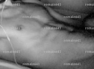 romain641 - Homme échangiste - Bayonne
