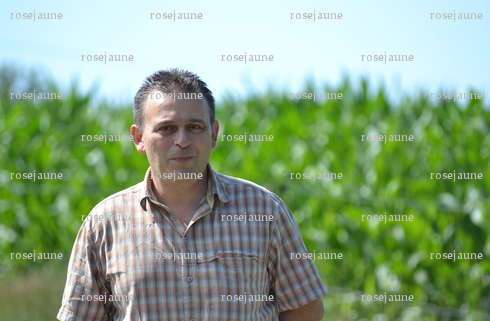 rosejaune - Homme candaulisme - Fougères