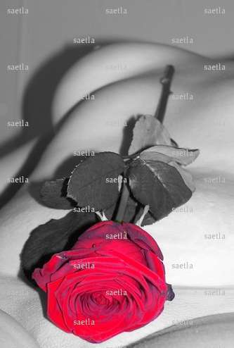 saetla - Couple échangiste - Limoges