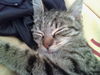 sexdieppoi Homme 31 ans Dieppe