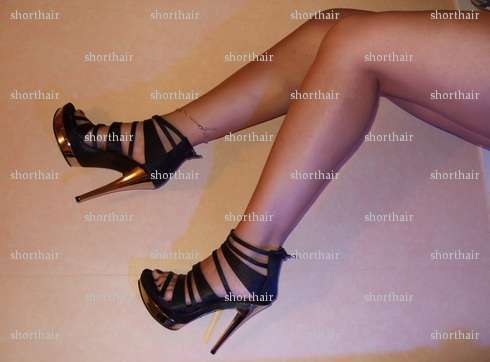 shorthair - Couple coquin - Grenoble