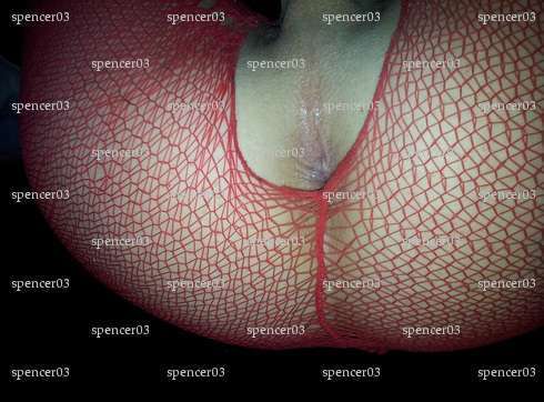 spencer03 - Homme bi échangiste - Bost