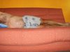 sstabouxl Homme 53 ans Aix-en-Provence