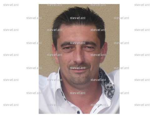 stevefant - Homme échangiste - Le Havre