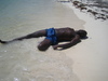 stringer Homme 33 ans Colombes