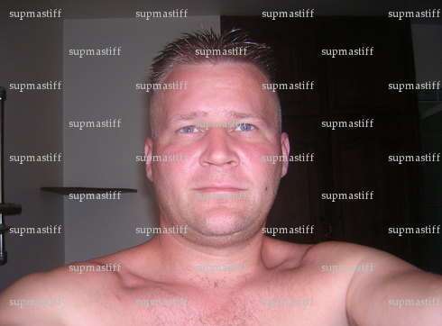 supmastiff - Homme mélangiste - Rambouillet