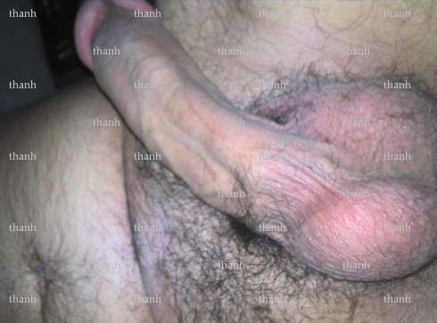 thanh - Homme bi coquin - Jassans-Riottier