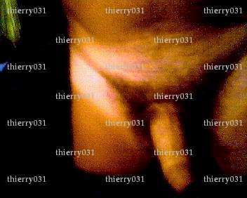 thierry031 - Couple coquin - Toulouse